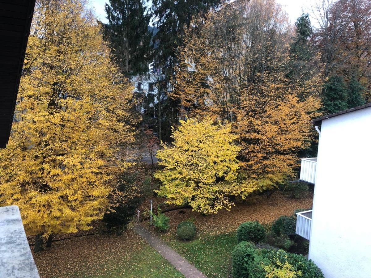 Cozy Apartment Fremersberg For 2 巴登-巴登 外观 照片